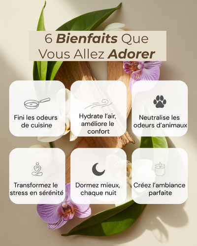 Livea Zen Diffuser